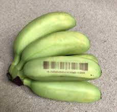 LONGER Research: Innovations in Ray5 20W Laser Engraving for Ceramic Art