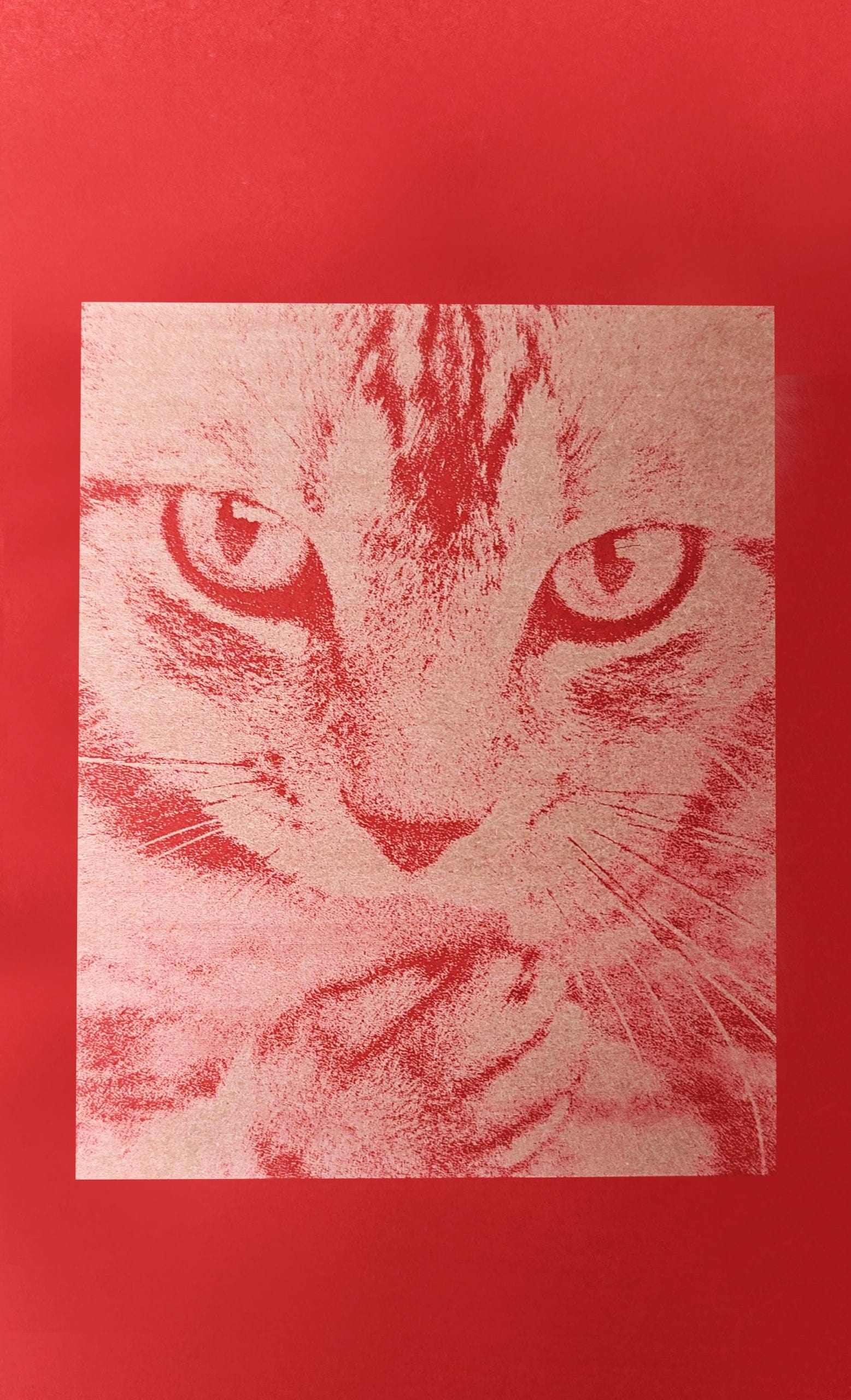 Finished Result Cat