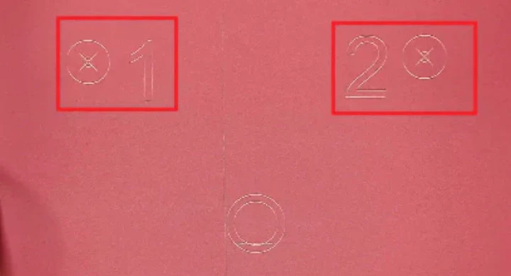 Camera Vision Correction for Framing — Nano Duo