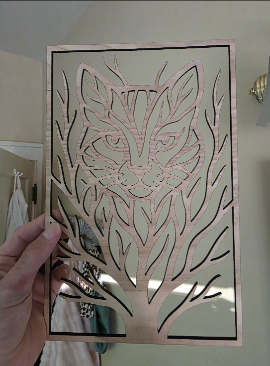 From a First Laser to Store Partnerships: Patrick’s Journey with Longer