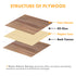 3mm Black Walnut Plywood (6pcs)